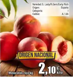 FROIZ Melocotón rojo oferta