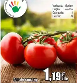 FROIZ Tomate rama oferta