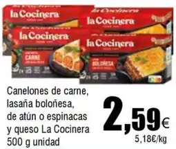 FROIZ LA COCINERA Canelones de carne, lasaña boloñesa, de atún o espinacas y queso oferta