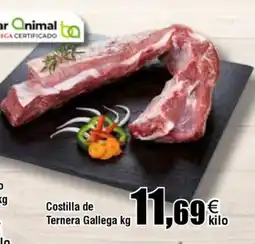 FROIZ Costilla de Ternera Gallega oferta