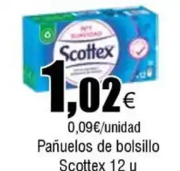 Cash FROIZ SCOTTEX Pañuelos de bolsillo oferta
