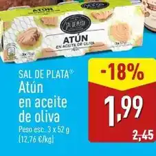 ALDI Sal de plata - sal de plata oferta