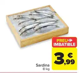 Carrefour Sardina oferta