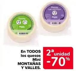Carrefour MONTAÑAS Y VALLES En todos los quesos mini oferta