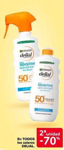 Carrefour DELIAL En todos los solares oferta