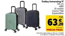 Carrefour Trolley Inmensing IT oferta