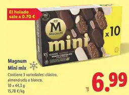 Lidl MAGNUM Mini mix oferta