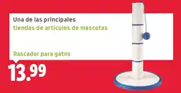 Lidl Rascador para gatos oferta