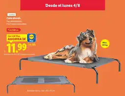 Lidl ZOOFARI Cama elevada oferta