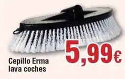 Hiper FROIZ Cepillo Erma lava coches oferta