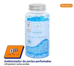 Action Ambientador de perlas perfumadas oferta