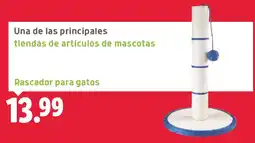 Lidl Rascador para gatos oferta