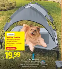 Lidl ZOOFARI Tumbona plegable oferta