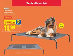 Lidl ZOOFARI Cama elevada oferta