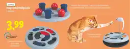 Lidl ZOOFARI Juegos de inteligencia oferta