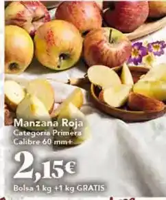 FROIZ Rectangular oferta