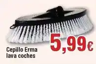 FROIZ Cepillo erma lava coches oferta