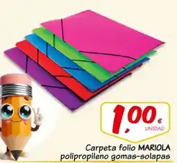 Supermercados Dani Carpeta folio polipropileno gomas-solapas oferta