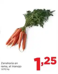 Alimerka Rama - zanahoria en , el manojo oferta