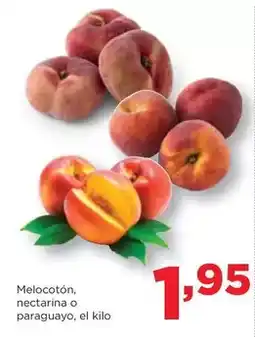 Alimerka Melocoton nectarina o paraguay oferta