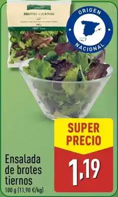 ALDI Ensalada de brotes tiernos oferta