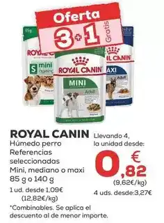 Kiwoko Royal canin - humedo perro referencias seleccionadas mini/ mediano o maxi oferta