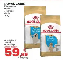 Kiwoko Royal canin - pienso perro golden o labrador junior oferta