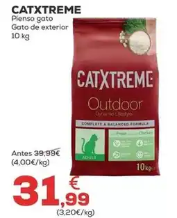 Kiwoko Catxtreme - pienso gato/ gato de exterior oferta