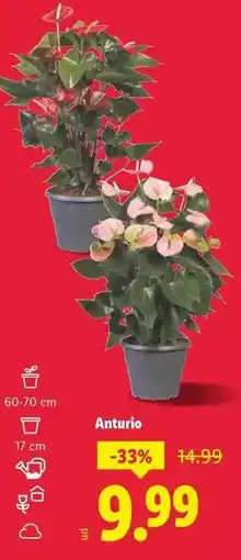 Supeco Dani - pack mejillones en escabeche/ almejones al natural y aceitunas rellenas de anchoa oferta