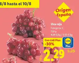 Lidl Uva roja oferta