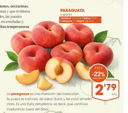 Supermercados Plaza Paraguaya oferta