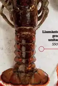 Eroski Yopro - liquidos senalizados oferta