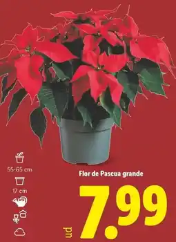 ToysRus Babysmile - andador y mesa de actividades 3 en 1 oferta