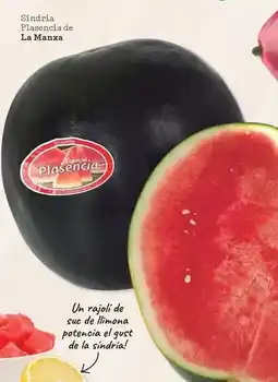 Sorli La manxa - síndria plasencia oferta