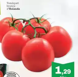 Sorli Tomàquet branca d'holanda oferta