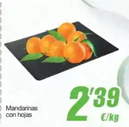 Sorli Aguinamar - gildes d'anxova oferta