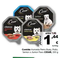 Masymas CESAR Comida Humeda Perro Buey, Pollo, Senior o Junior Pavo oferta