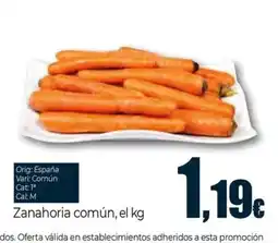 Unide Supermercados Zanahoria común oferta