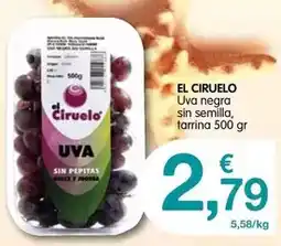 CashDiplo Uva negra sin semilla tarrina oferta