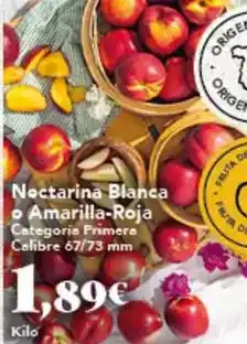 Gadis Nectarina blanca o amarilla-roja oferta