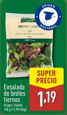 ALDI Ensalada de brotes tiernos oferta