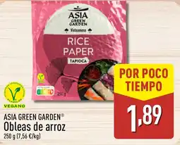 ALDI ASIA GREEN GARDEN Obleas de arroz oferta