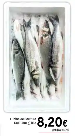 Cash Ifa Lubina Acuicultura oferta