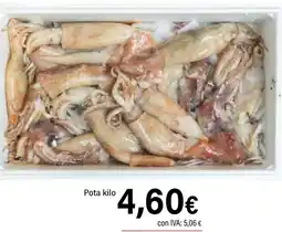 Cash Ifa Pota oferta