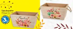 TEDi Caja decorativa oferta