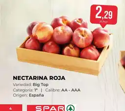 SPAR Gran Canaria Nectarina roja oferta