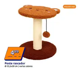 Action Poste rascador oferta