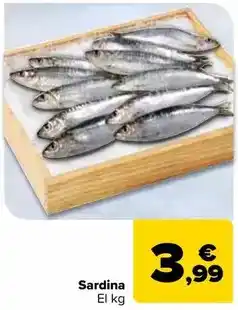 Carrefour Sardina oferta