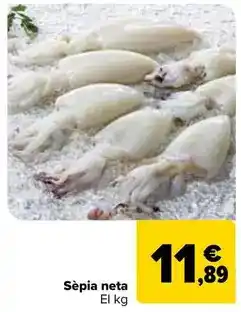 Carrefour Sepia limpia oferta