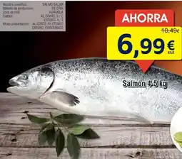 FROIZ Salmon salmon oferta